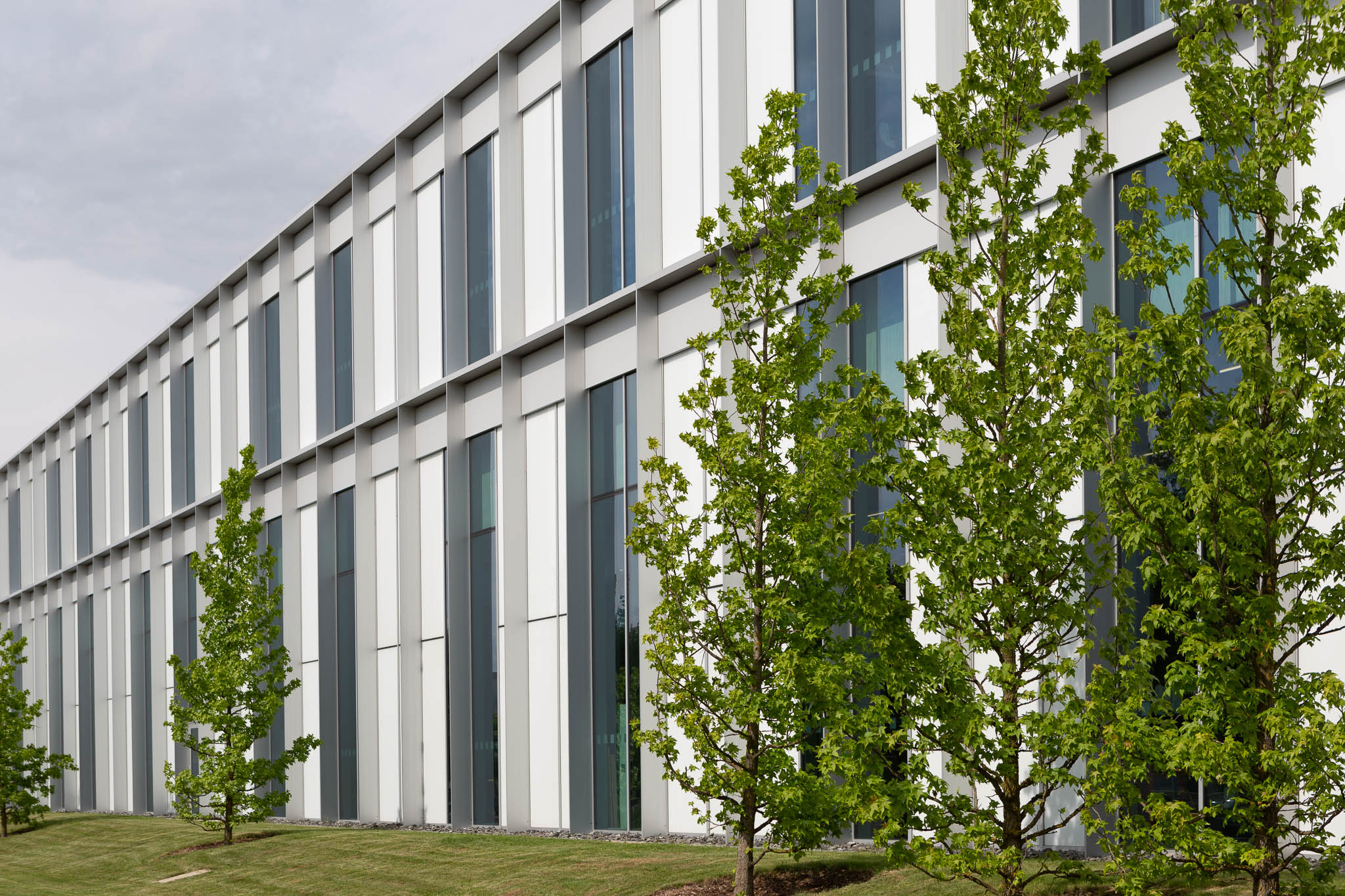 Uhlmann Pac-Systeme office